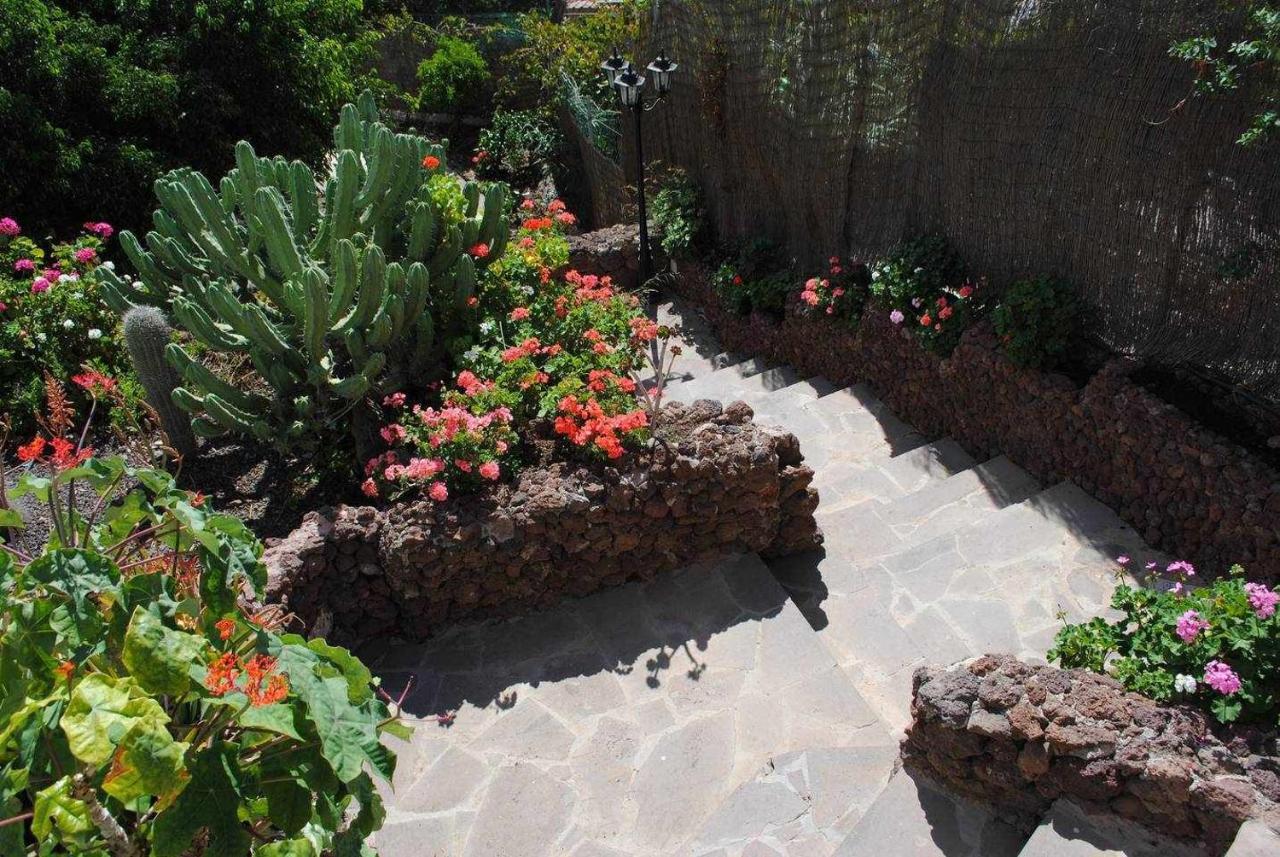Casa Rural El Olivar La Almazara Santa Lucia 외부 사진