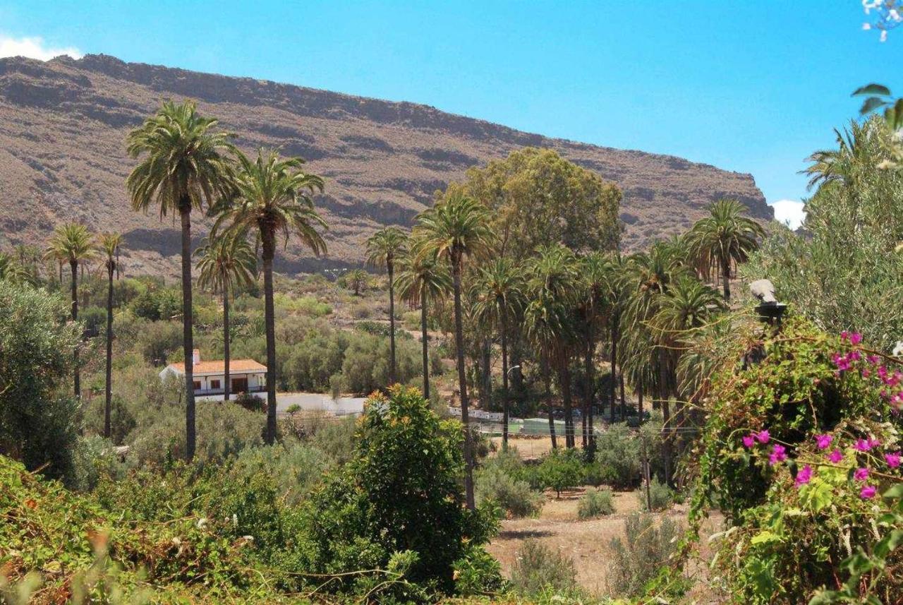 Casa Rural El Olivar La Almazara Santa Lucia 외부 사진